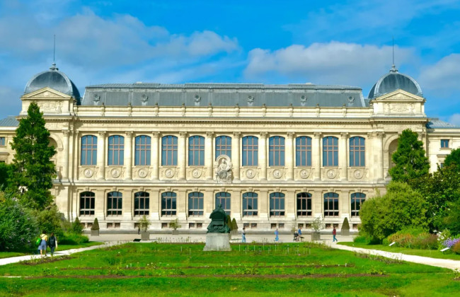 В Париже из Национального музея естествознания похитили золотые самородки на 600 тысяч евро