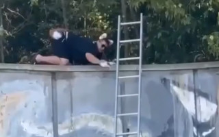 В Киеве спасатели ГСЧС сняли квадробера с забора – видео