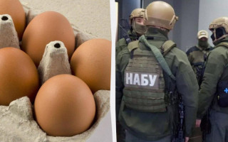 Дело «золотых яиц» в Минобороны — НАБУ и САП завершили расследование