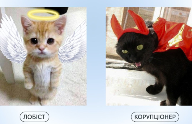 У НАЗК вирішили проілюструвати котиками різницю між лобістами та корупціонерами