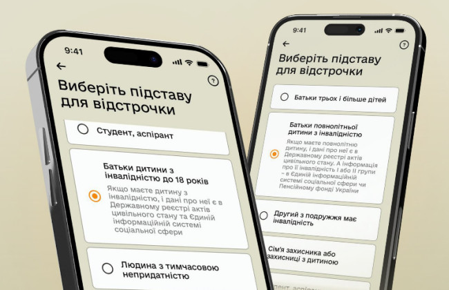 В Резерв+ запускают бета-тестирование отсрочек для родителей детей с инвалидностью