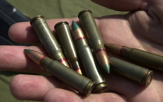 В Житомирской области судили военного пенсионера за хранение боевых патронов без разрешения