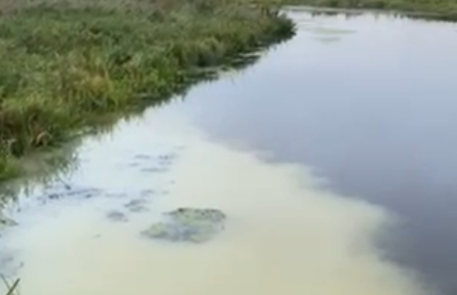 В Хмельницкой области женщина заметила выброс неизвестных веществ в Южный Буг — начато расследование