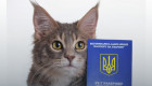 Документи для тварини — як та де оформити ветпаспорт
