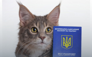 Документи для тварини — як та де оформити ветпаспорт