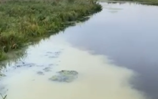 В Хмельницкой области женщина заметила выброс неизвестных веществ в Южный Буг — начато расследование