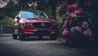 ТОП-10 подержанных авто до 5 лет: что выбирали украинцы в прошлом месяце