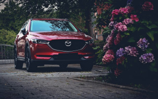 ТОП-10 уживаних авто до 5 років: що обирали українці минулого місяця