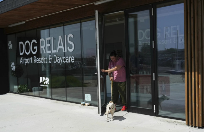 В Риме в аэропорту Фьюмичино заработал отель для собак с услугами ухода за животными