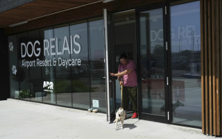 У Римі в аеропорту Ф’юмічіно запрацював готель для собак із послугами догляду за тваринами