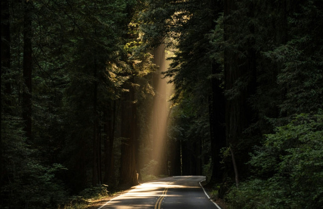 В Швеции открыли парфюмерный магазин, где платят не кронами, а секундами