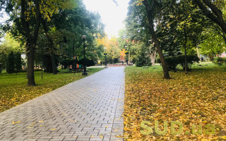 22 вересня настане осіннє рівнодення — дні ставатимуть коротші