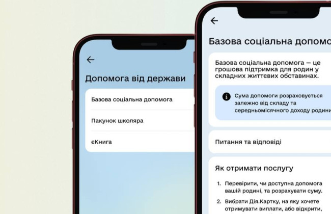 В Дии заработало оформление базовой соцпомощи