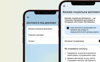 В Дии заработало оформление базовой соцпомощи