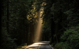 В Швеции открыли парфюмерный магазин, где платят не кронами, а секундами