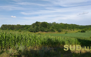 У ДПС нагадали, хто має право на звільнення від сплати земельного податку