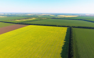 На Львовщине разоблачили фермера, который самовольно захватил 56 га земель