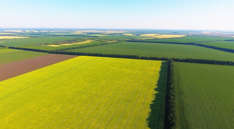 На Львівщині викрили фермера, який самовільно захопив 56 га земель