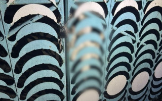 В Киевской области мужчина повесил свою собаку на заборе — полиция открыла дело