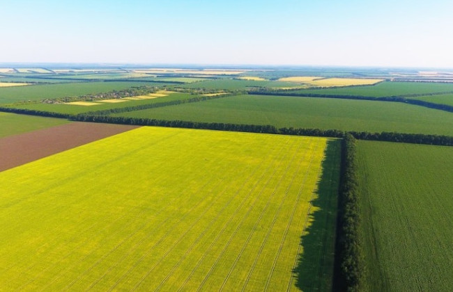 На Львовщине разоблачили фермера, который самовольно захватил 56 га земель
