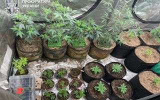 В Киеве «накрыли» нарколабораторию по производству печенья с каннабисом
