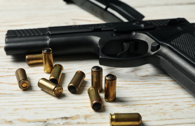 МВД запустило открытый доступ к лицензионным реестрам в сфере охраны и торговли оружием