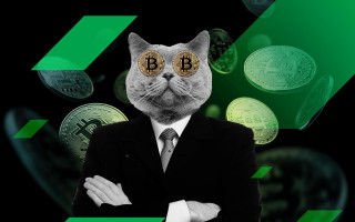 За год количество криптомиллионеров в мире выросло почти вдвое