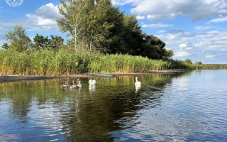 На Полтавщині через суд визначили межі чотирьох природних заказників площею майже 570 гектарів