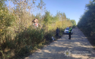 На Волині чоловік сів за кермо напідпитку та злетів у кювет — постраждало 5-місячне немовля