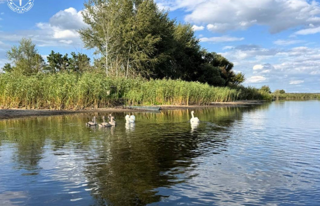 В Полтавской области через суд определили границы четырех природных заказников площадью почти 570 гектаров