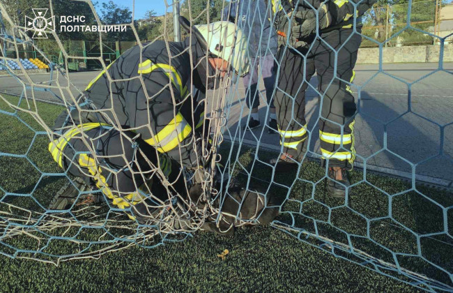 В Полтавской области провели спецоперацию по освобождению щенка из футбольной ловушки