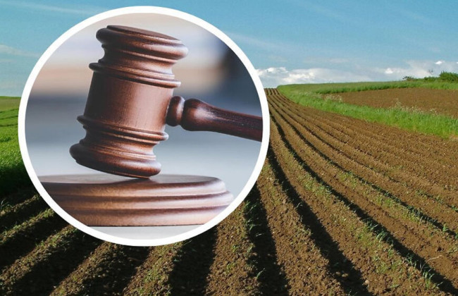 На Житомирщине предприятие потеряло землю из-за миллионного долга перед общиной