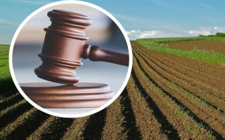 На Житомирщине предприятие потеряло землю из-за миллионного долга перед общиной