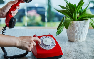 Горячая линия по вопросам безвестно исчезнувших и МВД изменили график работы