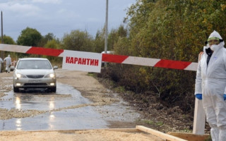 Кабмін визначив Порядок встановлення карантинних ветеринарних постів на кордоні