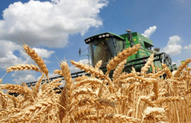 В Украине 1 октября откроют прием заявок на компенсацию расходов аграриям