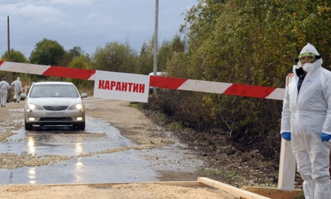 Кабмин утвердил Порядок установления карантинных ветеринарных постов на границе