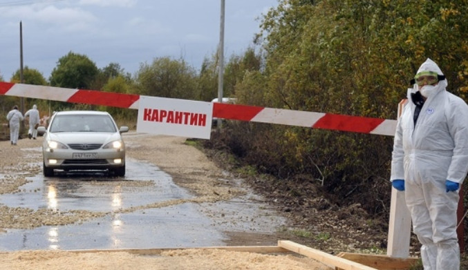 Кабмін визначив Порядок встановлення карантинних ветеринарних постів на кордоні