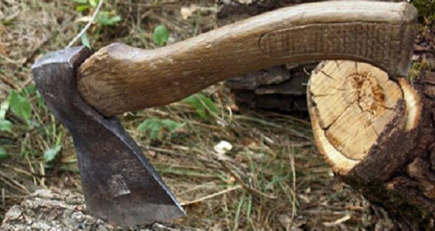 Нобельский парк в Ровенской области пострадал от незаконной рубки на 6,8 млн грн — дело дошло до суда