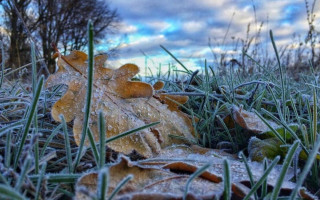 На заході та півночі України очікуються заморозки вночі