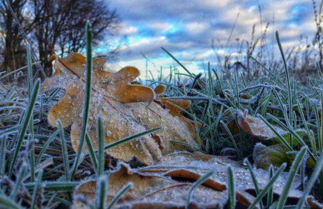 На западе и севере Украины ожидаются заморозки ночью