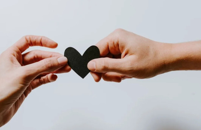 Опрос показал, что большинство украинцев находятся в отношениях и довольны ими