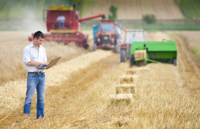 В НАПК объяснили, могут ли депутаты местных советов быть ФЛП и владеть фермой