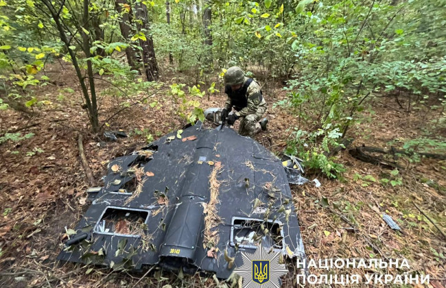 У Києві знайшли збитий дрон із вибухівкою в лісосмузі Дарницького району, фото