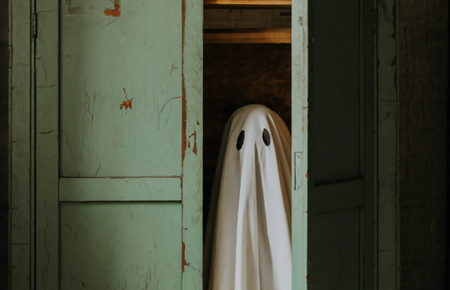 В Японии популярность приобретает новая услуга – инспекция жилья на наличие привидений