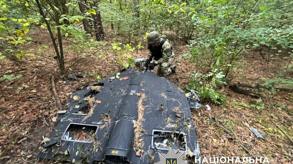 У Києві знайшли збитий дрон із вибухівкою в лісосмузі Дарницького району, фото