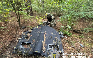 У Києві знайшли збитий дрон із вибухівкою в лісосмузі Дарницького району, фото