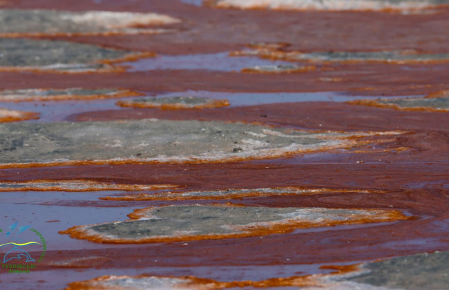 Марсианские пейзажи в Одесской области – что это и есть ли угроза