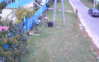 У Київському обласному ТЦК назвали ворожою пропагандою відео з «мобілізацією кота», відео