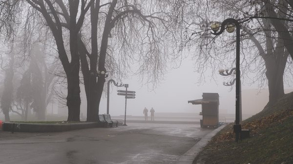 Неделя в Украине начнется с тумана и дождя